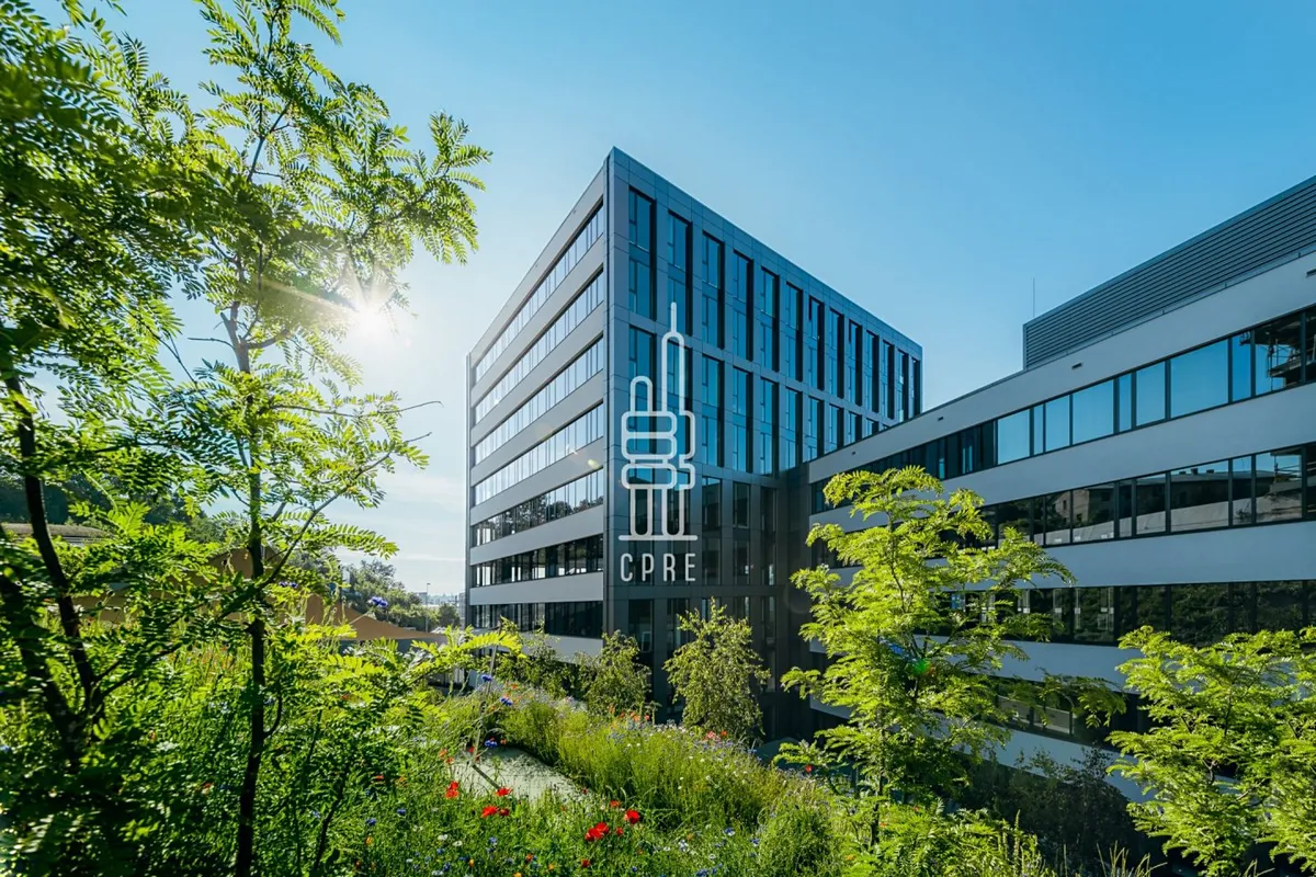 Pronájem kanceláře 1316 m²